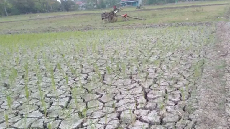 Kemarau Diprediksi Lebih Kering dan Panjang, Dinkes Jabar Ingatkan Ancaman Diare hingga Heatstroke