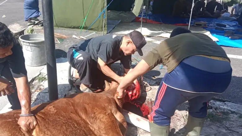 Qurban 2026 di Mandala Residence Meningkat, DKM Ar Ridwan Sebut Kesadaran Warga Kian Tinggi