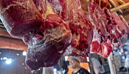 Begini Cara Mengolah Daging Kerbau agar Empuk dan Tidak Bau
