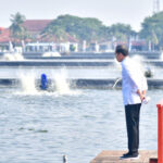 Canggih, Cair dan Paham Gimana Berselancar Politik