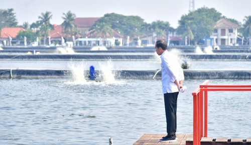 Jokowi Tak Akan Bisa Menghipnotis Kembali Bangsa Indonesia, Begini Kata Pengamat