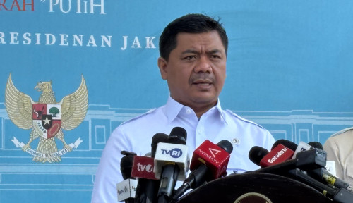 Sapi Simental hingga Belgian Blue, Hewan Kurban Prabowo Super Jumbo