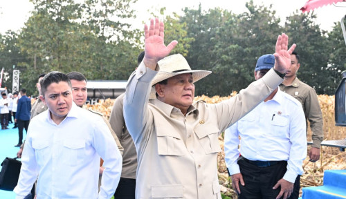 Prabowo Genjot Infrastruktur Pangan Nasional, MBG dan Gudang Pangan Jadi Prioritas