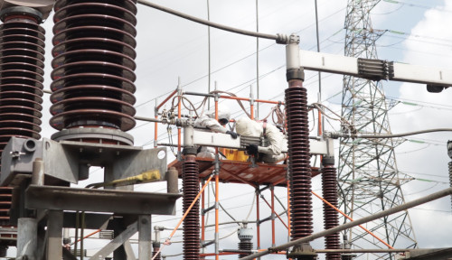 Blackout di Sumatera, Anggota Komisi VI DPR Desak Evaluasi Total PLN