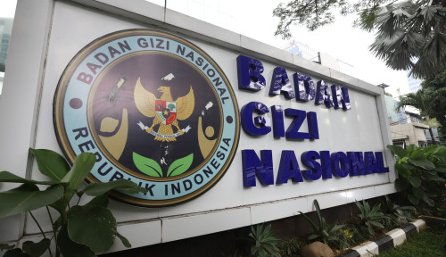 BPK Bisa Lakukan Audit Investigasi Jika Diperlukan
