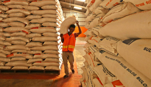 CBP Disinyalir Menumpuk, Pengamat Sebut Dilema Distribusi Bulog