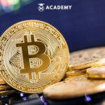 Bitcoin Anjlok 3,17% ke US$75.471, Pasar Kripto Terjun Bebas