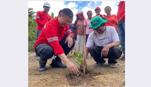 Sambut Hari Lingkungan Hidup Sedunia 2026, PT Dairi Prima Mineral Bagikan 1.400 Bibit Kopi dan Kemiri untuk Petani Dairi