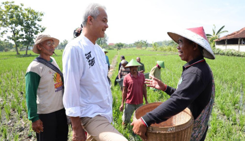 ‘Orang Desa Gak Pakai Dolar ya?’