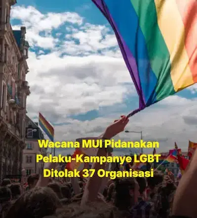 MUI Siapkan Draf RUU Pidana LGBT, Dorong DPR Masukkan ke Prolegnas
