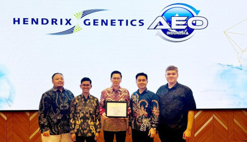Kona Bay Kantongi Sertifikasi AEO, Tegaskan Standar Tata Kelola Berkelas Internasional