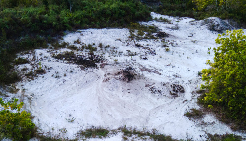 PT Bumibaru Buktikan Lahan Terdegradasi Bisa Jadi Sumber Perkebunan Produktif