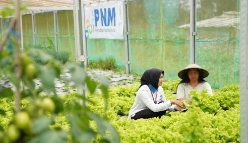 Indonesia Sustainability Award Apresiasi Komitmen ESG dan Pemberdayaan Berkelanjutan PNM