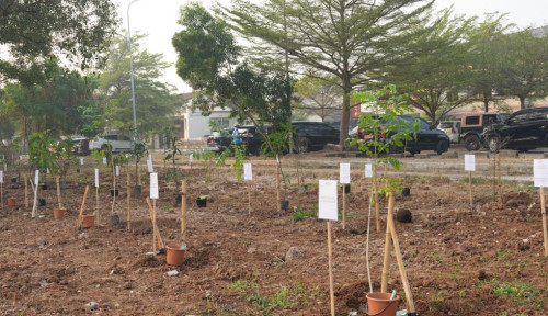 Kolaborasi PLN dan Pemkab Karawang Perkuat Ketahanan Lingkungan