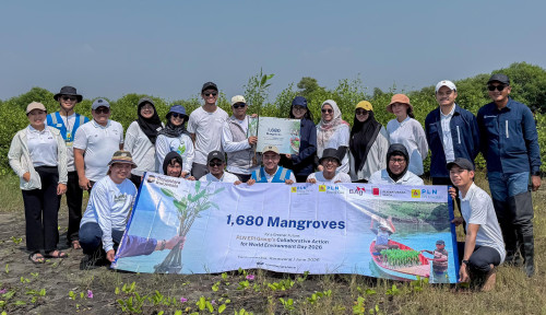 Peringati Hari Lingkungan Hidup Sedunia, PLN EPI Tanam 1.680 Mangrove di Karawang
