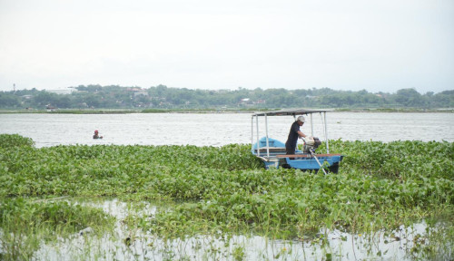 Dari Gulma Menjadi Berkah, Pertamina Patra Niaga Dorong Pemberdayaan Masyarakat Berbasis Pengelolaan Eceng Gondok