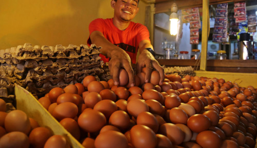 Harga Telur Turun dan Gula Stabil, UMKM Kuliner Dapat Angin Segar