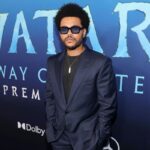 Siapa the weeknd dan seberapa fantastis penjualan tiketnya?
