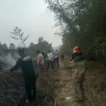 Lahan Warga Sindangpanon Purwakarta Terbakar Saat Kemarau