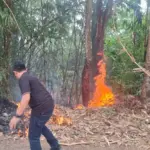 Lahan Kering Terbakar, Kebiasaan Bakar Sampah Sembarangan Jadi Sorotan