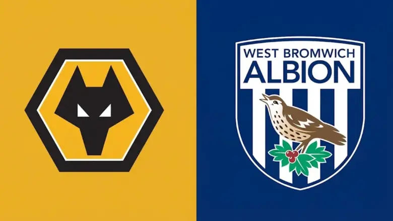Angka dan Statistik Jelang Laga Wolves vs West Brom di EFL Championship