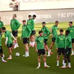 Lakukan Pemungutan Suara, Republik Irlandia Siap Main Lawan Israel