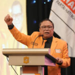Hanura Akan Luncurkan Logo Partai Terbaru Bergambar Kepala Singa, Kapan?