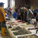Garis Kemiskinan RI Cuma Rp669 Ribu, Ekonom Bongkar Jurang Besar antara Data dan Realitas
