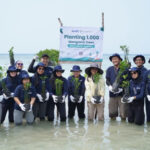 Cegah Abrasi, 1.000 Bibit Mangrove Ditanam di Pesisir Pulau Pari