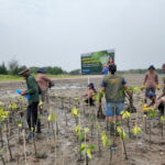 PGN Grup Bongkar Strategi Hadapi Perubahan Iklim: Mangrove hingga Padi Biosalin