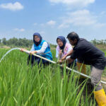 Electrifying Agriculture PLN Bantu Jaga Produktivitas Petani di Musim Kemarau