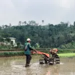Di Balik Kemarau Panjang, Saat Petani Bunijaya Menolak Tunduk pada Kerak Tanah