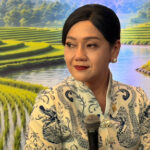 IHSG Melonjak 4,9%, Asing Malah Kabur Bawa Rp94,87 Triliun!
