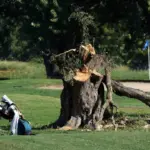 Hakim Perpanjang Larangan Renovasi Lapangan Golf Publik East Potomac