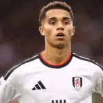 Josh King Puji Performa Fulham Usai Taklukkan Hull City