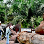 Dongkrak PNBP ESDM, Lelang BMN Hulu Migas Pertamina Hulu Rokan Tembus Rp11 M