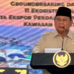 75 Persen Masyarakat Stres Hadapi Kebijakan Prabowo, Ini Keluhannya