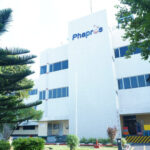 Laba Phapros Naik 541%, Valuasi Saham PEHA Masih 4,97 Kali
